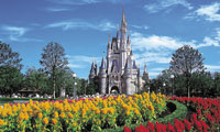 東京ディズニーリゾートのシンデレラ城前に咲く花